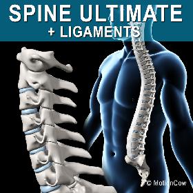 Spine Ultimate